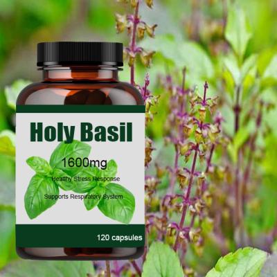 China Customized Vegan Promotes Centered Calmness Holy Basil Capsules for sale