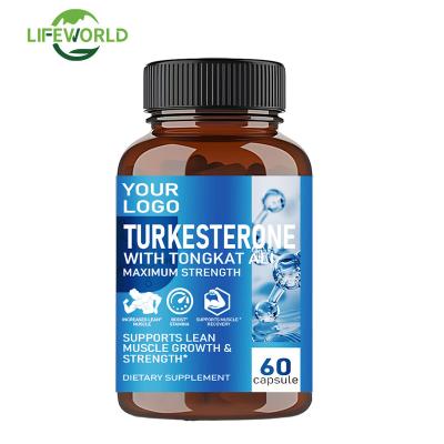 Cina OEM Turkesterone naturale puro Tribulus Terrestris Estratto integratori Tribulus Terrestris Capsule in vendita