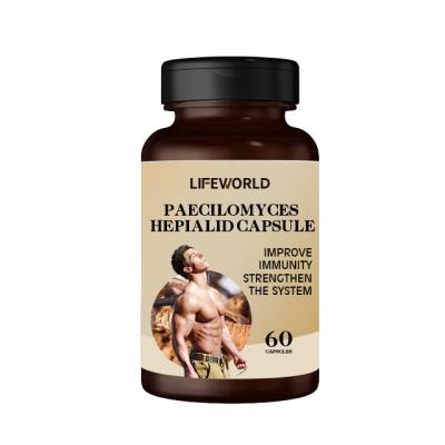 China ODM&OEM Paecilomyces cápsulas hepialidas Cordyceps cápsulas de micelio para Enhnace inmune en venta