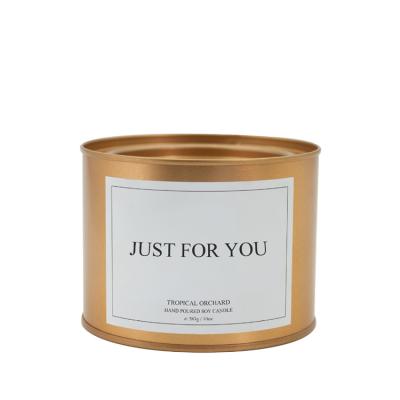 China OEM 100% Soy Wax Logo Unique Christmas Soy Wax Custom Made Luxury Cheap Tins Scented Candle For Home for sale