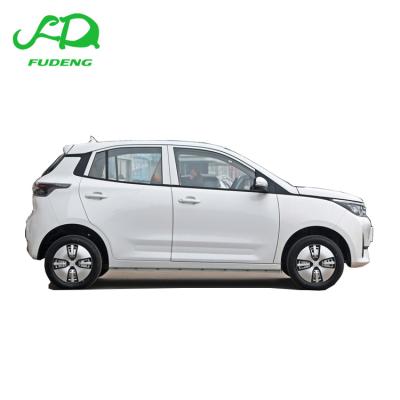 China China Redding Mango Car Green Pure Environmental Protection Electric Vehicle with New Energy MINI Car Redding Sale for sale