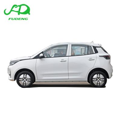 China High Quality and High Performance Redding Mango Car Series Pure Electric Vehicles New Energy MINI Vehicles Redding for sale