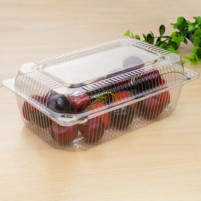 China Disposable Hinged Top Square Clamshell Blister Food Boxes for sale