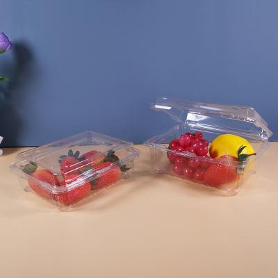 China Recyclable Custom Cherry PET Clamshell Disposable Blister Fruit Box Packaging Transparent Square Plastic Fresh Fruit Box for sale