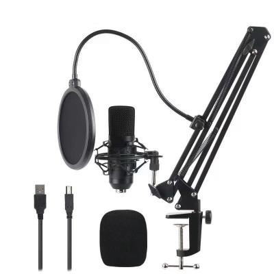 China Microphone BM700 192kHZ USB Microphone Condenser Microphone BM700 192kHZ Computer MIC Gaming Stand Desktop Podcast Microphone for sale