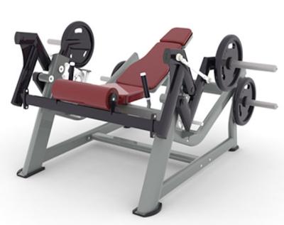 China Professional Commercial Reverse Glute Ham Machine Commercial Use Gym Equipment Plate Loader for sale