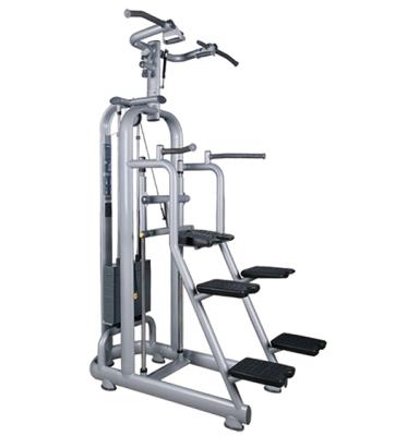 China Commercial Use Commercial Chin Up Gym / Equipment Assisted Dip Machine for sale