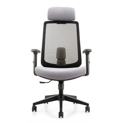 China New Arrival Comfortable Modern Nylon Swivel Midback Adjustable Ventilation Fabric (Height) Office Chair for sale