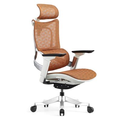 China Modern Swivel High Back (Height) Mesh Executive Ergonomic Manager Office Chair Adjustable With Headrest And Lumbar Support for sale