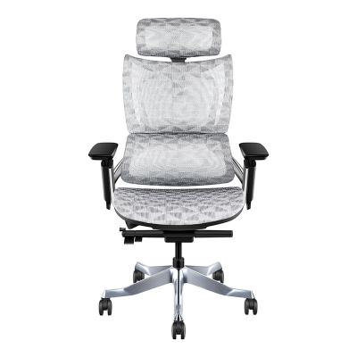 China 2022 High End Comfortable Mesh Luxury Modern Executive Office (Height) Multifunctional Ergonomic Chair From Solid Ocean Adjustable Factory for sale