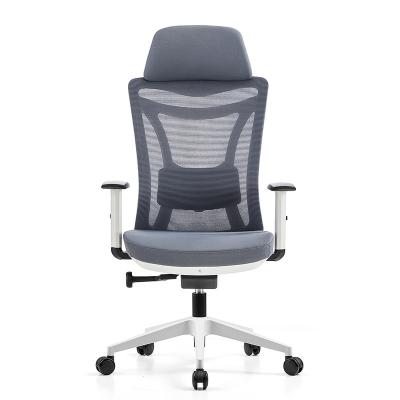 China Mesh Chair For Commercial Office Ergonomics Adjustable Furniture Computer Desk Rotation (Height) Chair for sale