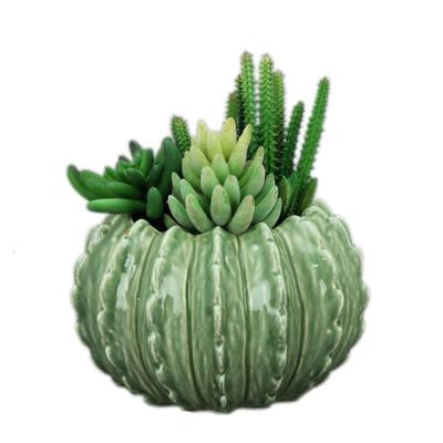 China Modern Ceramic Bonsai Cactus Shaped Pot , Ceramic Garden Plant Succulent Flower Pot for sale