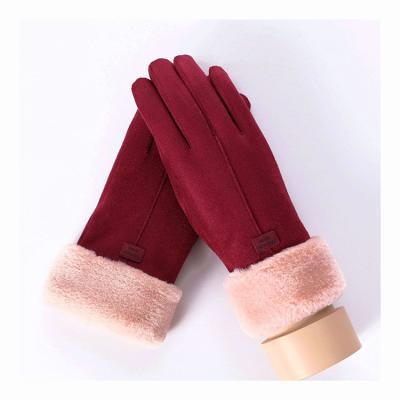 China Simple Multi Function Free Samples Fashionable Winter Outdoor Gloves for sale