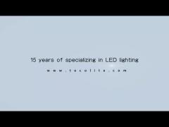 Teco MR11 LED Bulb light Parameters and Application Video