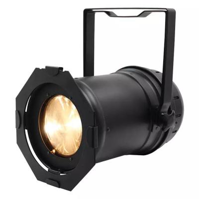 China Stage High Brightness 80W Par64 Warm White LED Zoom Par Light For Wedding Church Shop Lighting for sale