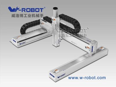 China Inspection W-robot Gantry Type Three Axis Automatic Painting Robot for sale