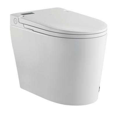 China Modern Newcomers Massage Function Water System Pod Sanitation Toilet for sale