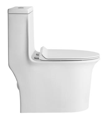 China Four Holes for Lots Four Holes for Lots of Flushing Ceramic Wall Hung Pan Toilet System for sale