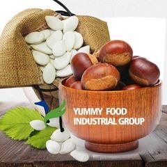 Verified China supplier - Yummy Food Industrial Group