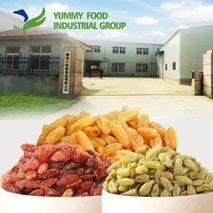 Verified China supplier - Yummy Food Industrial Group