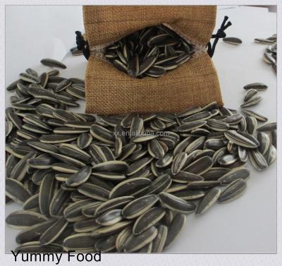 China sunflower seeds sunflower kernel sunflower seeds package for sale