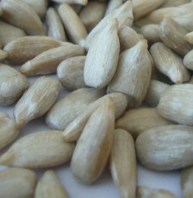 China All Kinds of Black/ White Sunflower Seeds/Kernels for Oil Expressing and Food Factory Delivery for sale