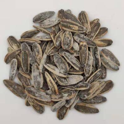 China High-class Roasted And Salted Sunflower Seeds 25/50kg Pp.Bag 1% Max 10 Tons for sale