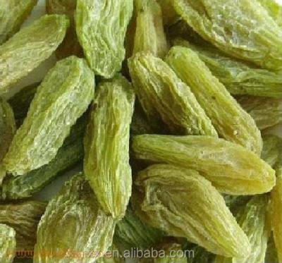 China cheap price and healthy fruit snacks dried Green raisin for sale