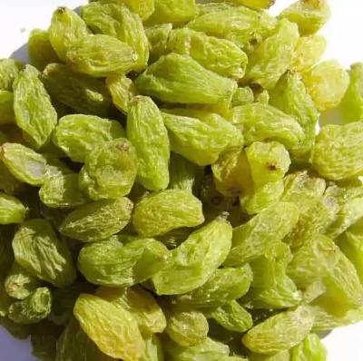 China China Dried Green Raisins Seedless Grape Green Grape Raisins Long shape Long shape for sale