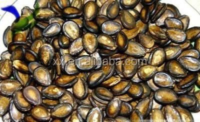 China high quality 11cm black roasted salted watermelon seeds in shell for sale