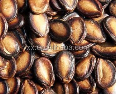 China Chinese New Crop Roasted Black Watermelon Seeds HACCP Black Rind 9-10cm 9% Max MOISTURE for sale