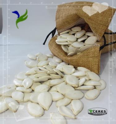 China Snow white pumpkin seeds and kernels shine skin pumpkin seed GWS pumpkin seed kernels with cheap price and high quality for sale