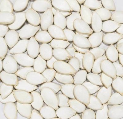 China Chinese Snow White Pumpkin Seeds New Crop Natural White 9cm 11cm 13cm 9% Max MOISTURE for sale