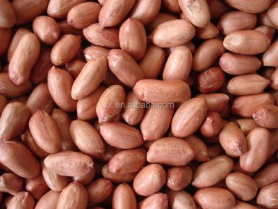 China Peanut price of red skin peanut kernel with peanuts 1kg price for sale