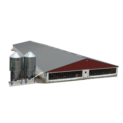 China Steel Structure Platform Broiler Chicken Automatic Feeding System House Prefab Steel Structure Poultry House for sale