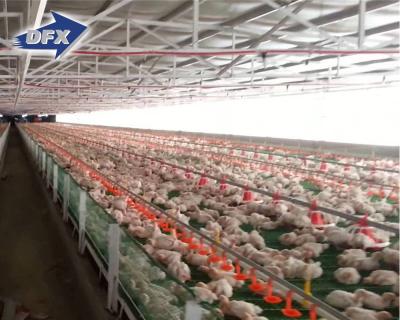 China Storage Warehouse Structure Building Low Cost Poultry House Chicken House Shed House Shed Steel Structure Farm Building Warehouse Workshop for sale