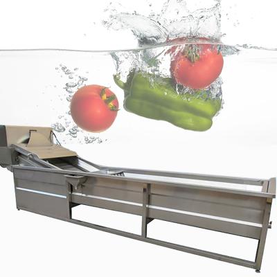 China Fruit Processing Plant Fruit Vegetable Stainless Steel Advanced Clean Washing Tool for sale