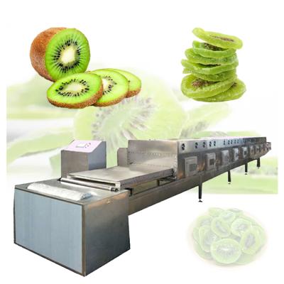 China Medicine Processing High Efficiency Mesh Belt Dryer Microwave Drying Equipment For Food for sale