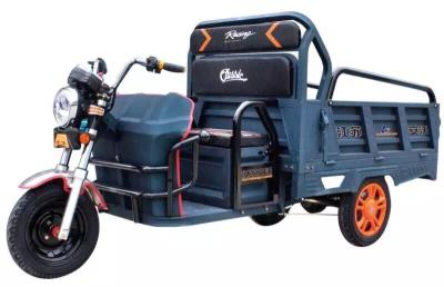 China 3 Wheel Electric Cargo Motorcycle For Cargo for sale