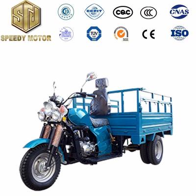 China Big Cargo Power Truck Box Five Wheels Cargo Tricycle 250cc Double Rear Wheels On Sale for sale