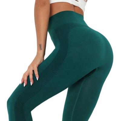 China Breathable Warm Seamless Yoga Pants High Waist Butt Lifting Gym Solid Fitness Pants Breathable Running Workout Gaiters For Women for sale