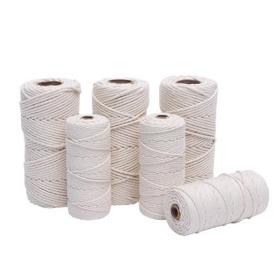 China Wall Hanging Diy Decorative Handmade Braided Natural White Rope Twisted Rope Cotton Macrame Viable Rope for sale