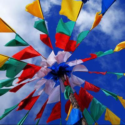 China China Tibetan Buddhist Prayer Flag 12