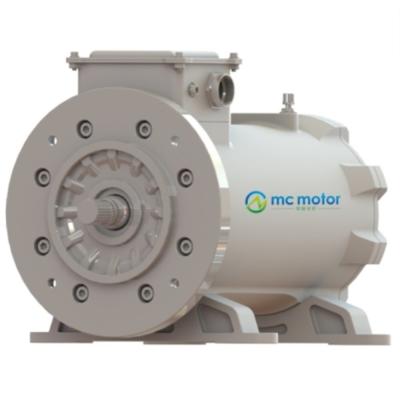 China Oil Cooled 3 Phase 22KW 15000RPM Magnetic Reluctance Motor for sale