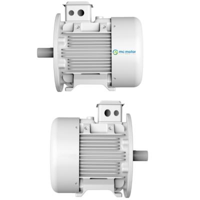 China Elektrischer niedriger Synchronmotor Wechselstroms Erschütterungs-110KW P.M. zu verkaufen