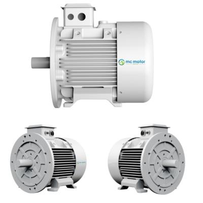 China Die 3 Phasen-Servoluft 132KW 6000RPM kühlte P.M.-Synchronmotor ab zu verkaufen