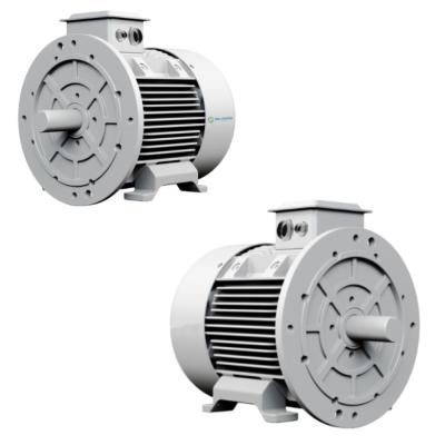 China ISO90001 300KW Reluctance Pmsm Electric Motor for sale