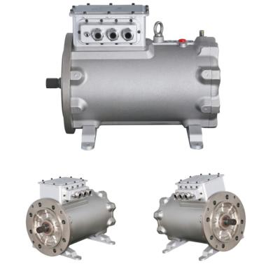 China Motor de CA síncrono del imán permanente de la repugnancia 250KW 2000RPM 199Nm en venta