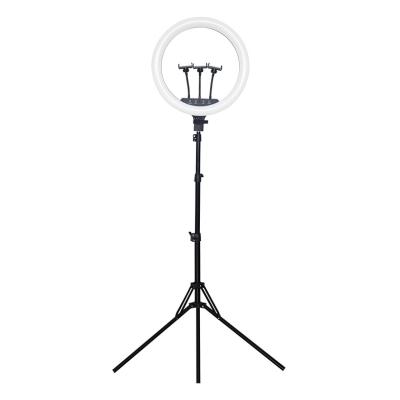 China Professional Photography PORTABLE LED Ring Lights 40W 3000-6500K 18 Inch Touch Screen Remote Control Ring Light With Tripod Stand for sale