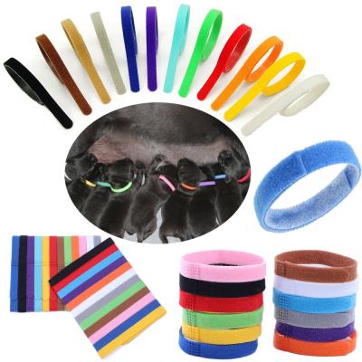 China Custom Double Sided Newborn Pet Collars 15 Colors Whelping Collars For Puppies for sale